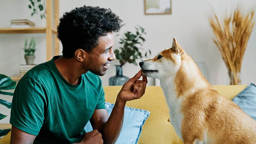 Los perros desprenden oxitocina cuando nos miran a los ojos según un estudio