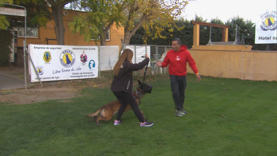 Mujer adiestra perro con bozal; hombre observa; entorno de entrenamiento canino; carteles publicitarios visibles.