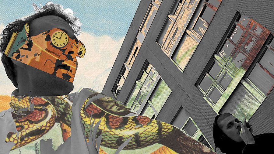 Collage digital con persona enmascarada, estampado de serpiente, mapa con 