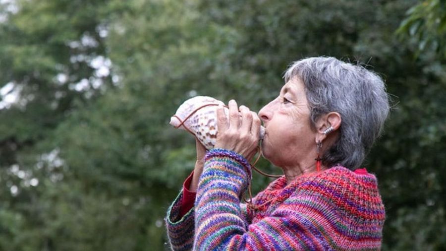 Proyecto Terra Común (2023-2024), en Montes do Couso (Pontevedra)