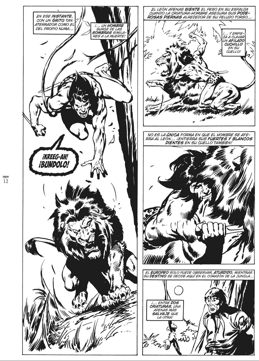 Combate entre Tarzán y un león; Tarzán usa cuchillo y dientes. Un hombre observa la escena con asombro. Viñetas con textos descriptivos de la lucha.