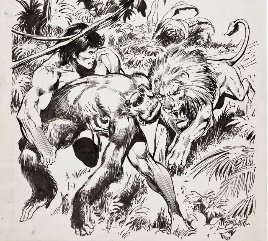 Boceto de acción en blanco y negro: Tarzán defiende a un simio de un león en una jungla.  Tensión palpable.