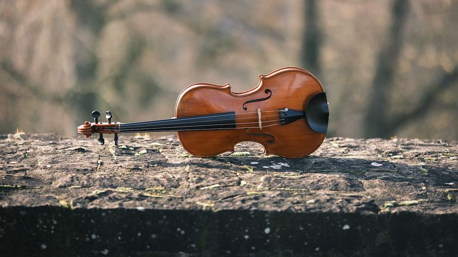 Viola marrón rojiza con diapasón, clavijas y cuerdas visibles, sobre superficie rocosa. Fondo desenfocado con árboles sin hojas.