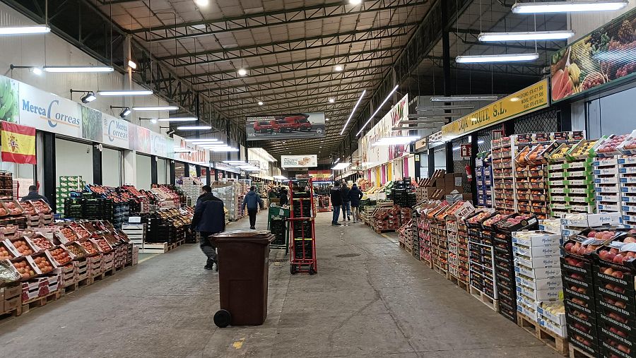 La nave de frutas y verduras de Mercazaragoza, la plataforma logística agroalimentaria del Valle del Ebro