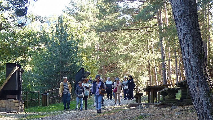 Caminando entre la naturaleza