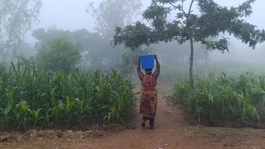 Una mujer en Malawi carga un cubo con agua
