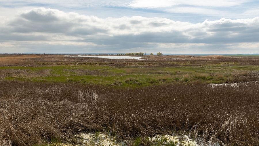 Imagen de la laguna de La Nava, en Palencia, en 2021.