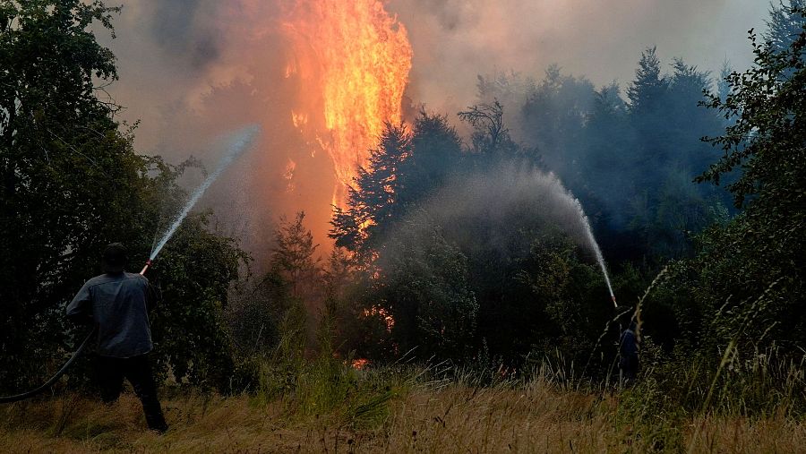 Los incendios arrasan miles de hectáreas en la Patagonia argentina