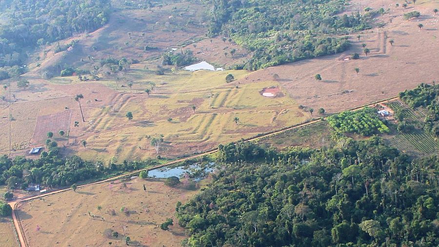 Geoglifos en la selva brasileña.