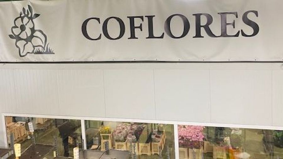 Interior de COFLORES: cartel con logo (flor estilizada) y gran variedad de flores visibles a través de ventanas.