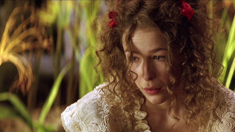 Imagen de La dama boda, de Manuel Iborra