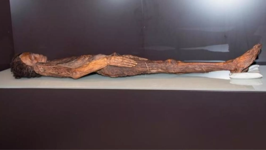 Momia bien conservada, vista de perfil, con piel oscura y cabello rizado visible; detalles como manos y pies son apreciables. Reposa sobre superficie blanca.