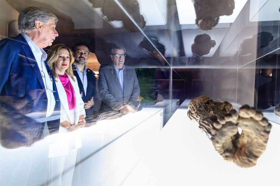 Visita oficial al Museo de la Naturaleza y el Hombre (MUNA) donde se observa una momia guanche en una vitrina.  Presentes la presidenta y vicepresidente del Cabildo de Tenerife.