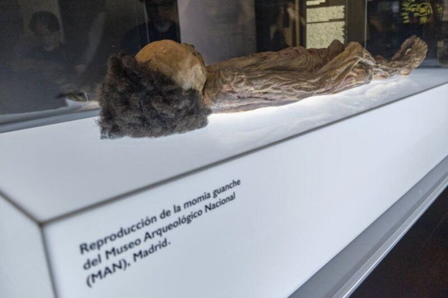 Momia guanche en vitrina iluminada; piel y cabello oscuros, posición decúbito supino; reproducción del MAN, Madrid.