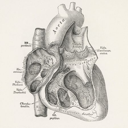 Innovación cirugía cardiaca en el Hospital Ramón y Cajal