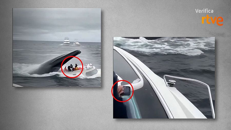 No es una ballena comiéndose un yate, es un vídeo creado con IA