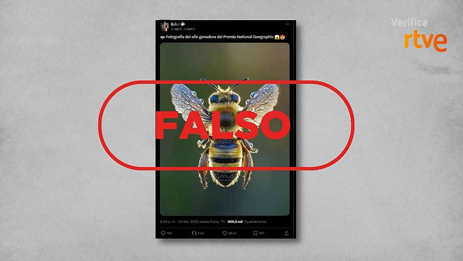 No es la foto ganadora del Premio National Geographic, es IA