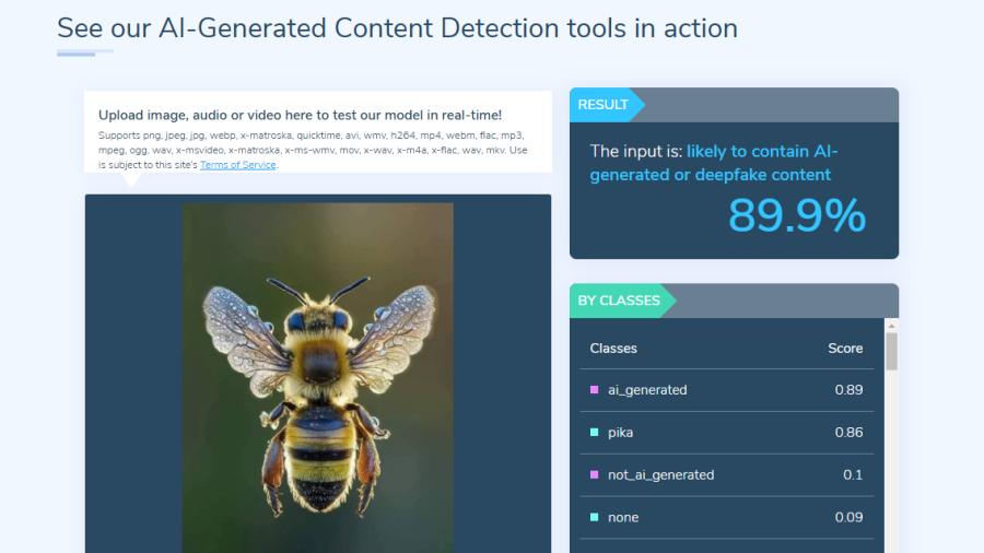 No es la foto ganadora del Premio National Geographic, es IA