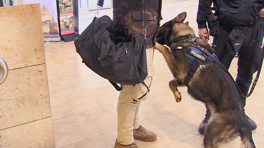 Sierra encuentra estupefacientes en la estación de autobuses de Toledo