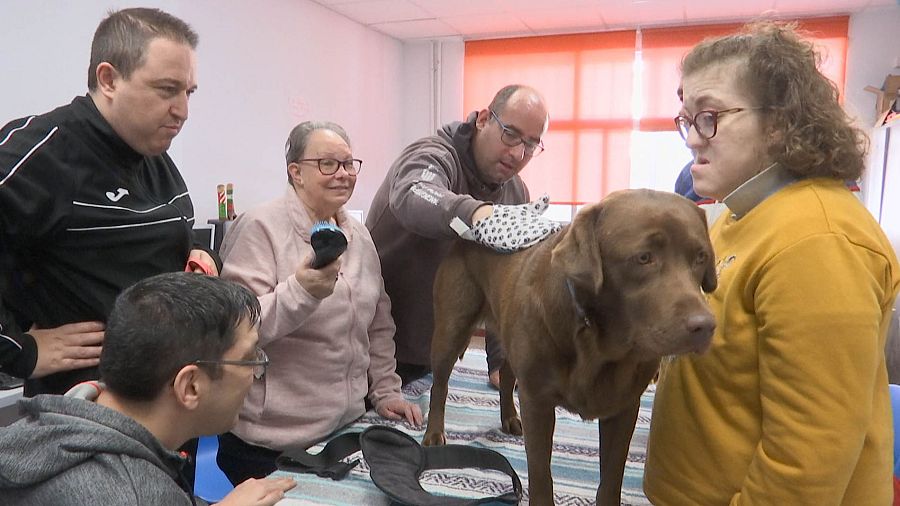 Terra trabajando como perro de terapia en la Asociación de Familiares de Personas con Discapacidad Intelectual de Tarancón