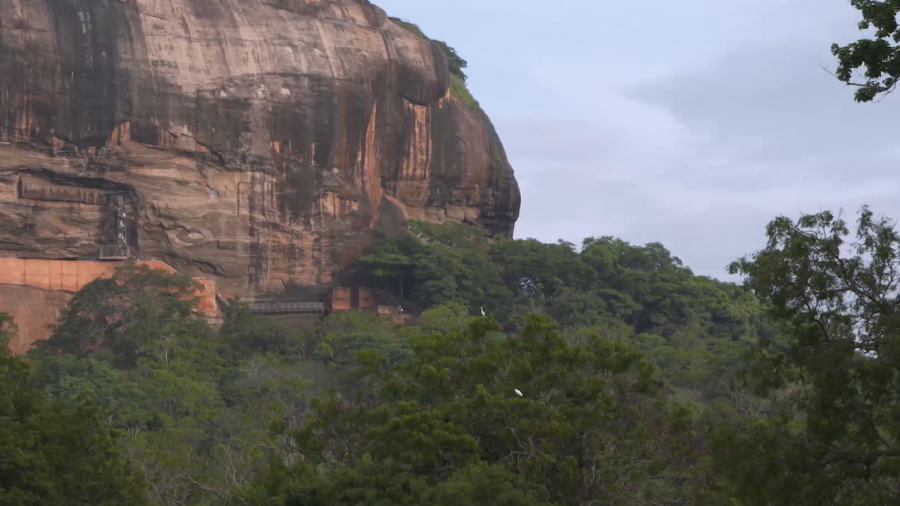 Bosque alrededor de la roca de Sigiriya en Sri Lanka
