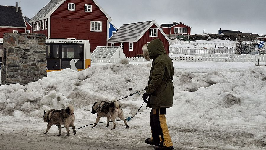 Persona con ropa de invierno pasea dos perros por calle nevada, cerca de casas rojas y un autobús. Escena invernal en Groenlandia.