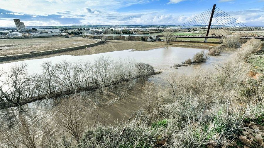 El río Henares a su paso por Guadalajara este lunes, 10 de marzo.