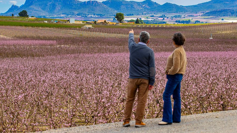 Balance del invierno de AEMET