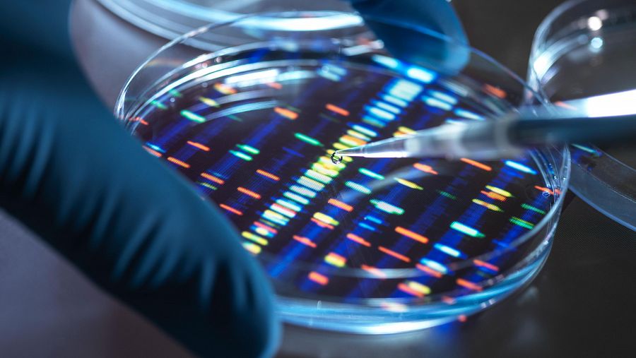 Genome of Europe