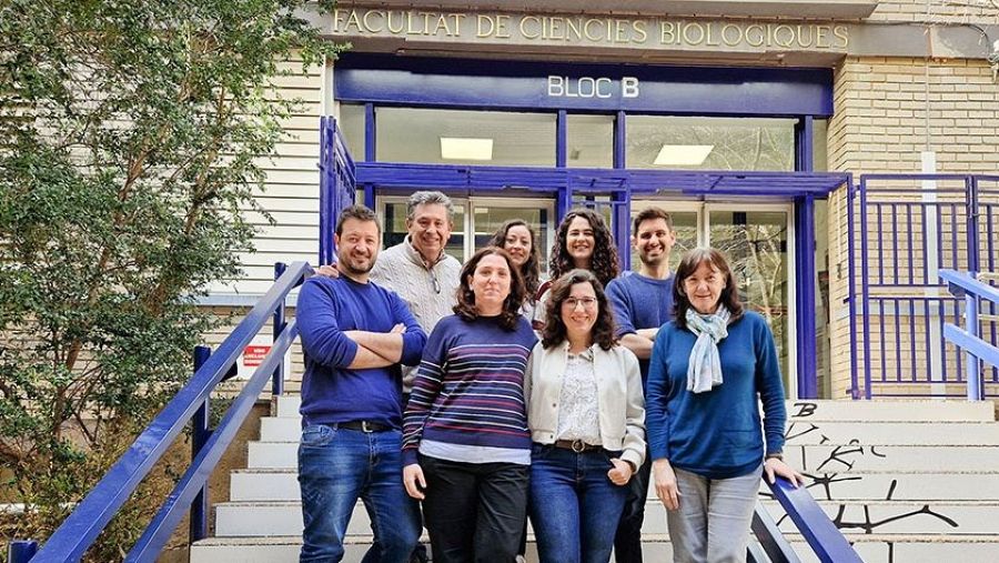 Descubren un nuevo mecanismo que participa en la propagación del Parkinson en el cerebro