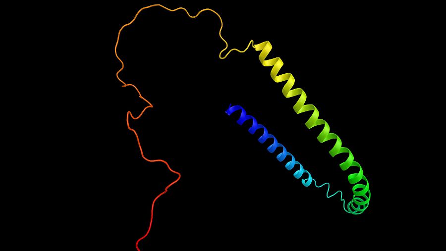 Descubren un nuevo mecanismo que participa en la propagación del párkinson en el cerebro