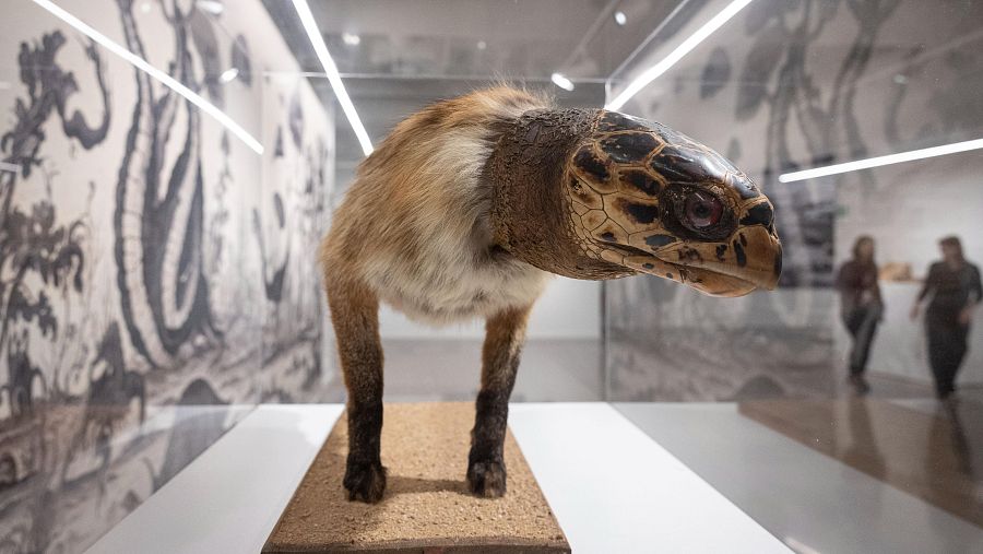 Un animal imposible recreado en 'Monstrorum hisoria' de Fontcuberta