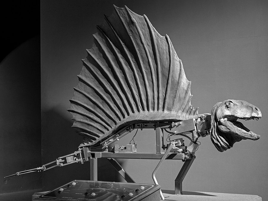 Pieza de la exposición de Joan Fontcuberta en Tabakalera