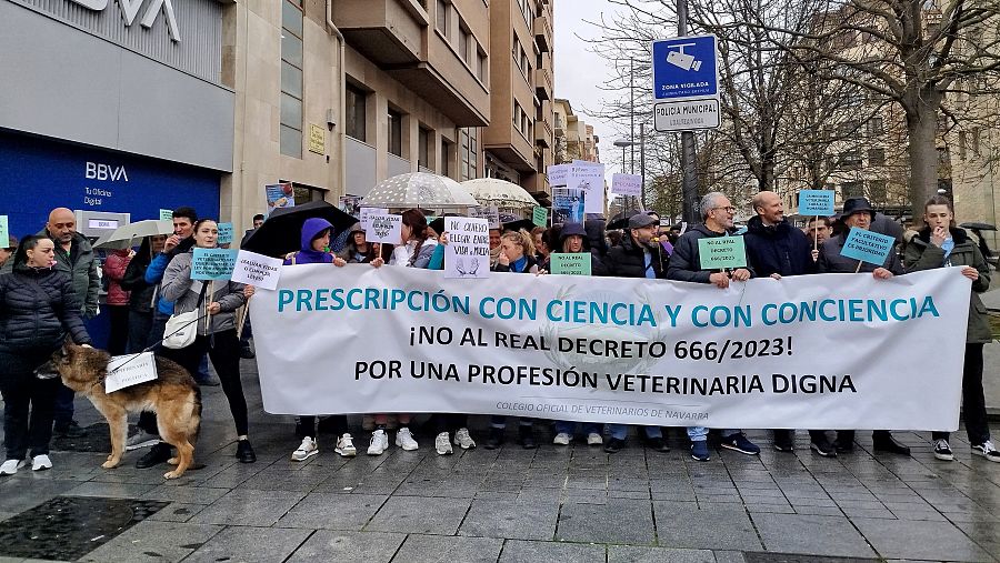 Concentración del Colegio Oficial de Veterinarios de Navarra en contra del Real Decreto 666/2023