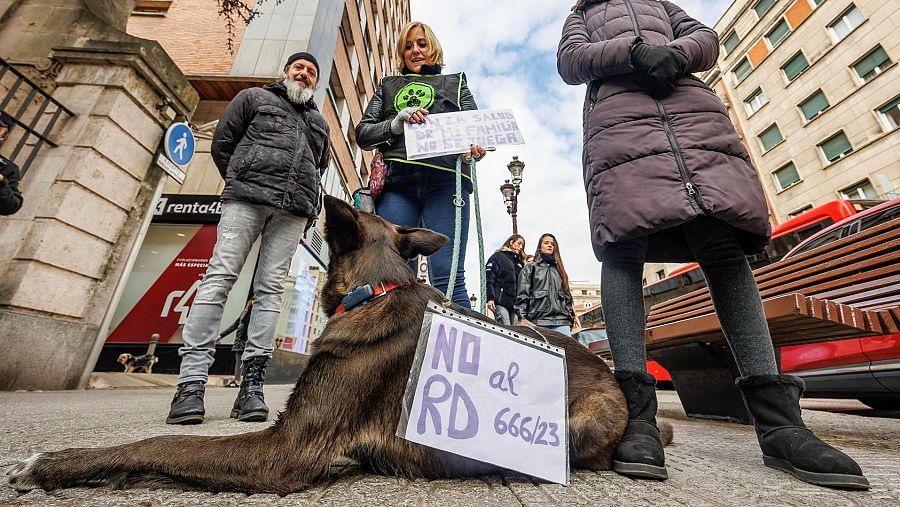 Veterinarios de toda España vuelven a movilizarse en contra de la normativa actual sobre medicamentos