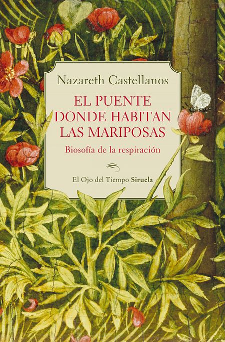 Portada de 'El puente donde habitan las mariposas'