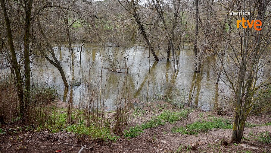 Embalse de El Pardo, en Madrid