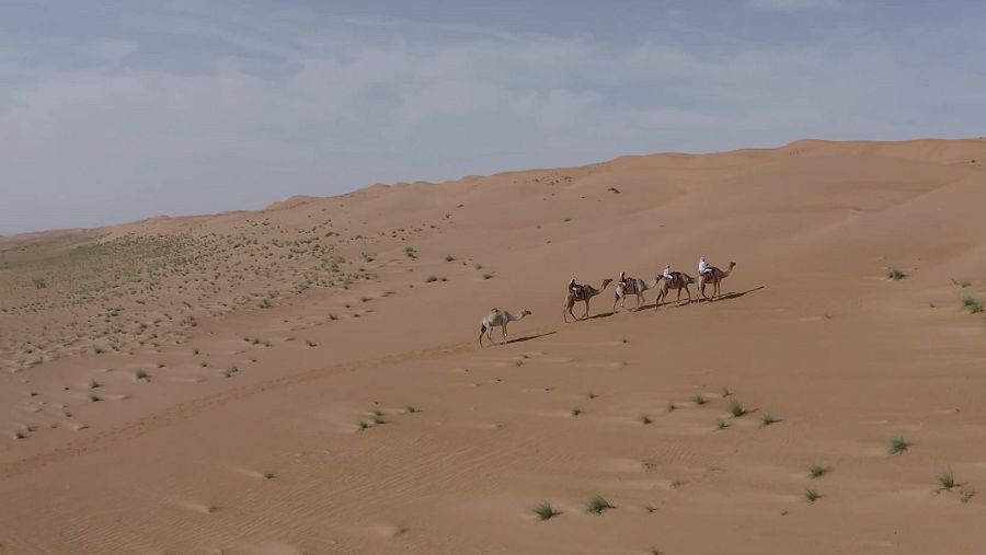 Desert Arenes d'al-Wahiba