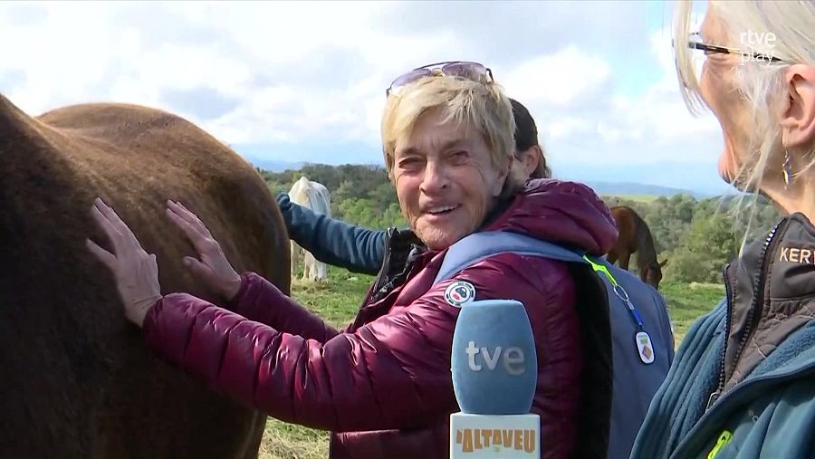 L'equinoteràpia reporta beneficis físics, emocionals i socials i ajuda a tractar patologies.