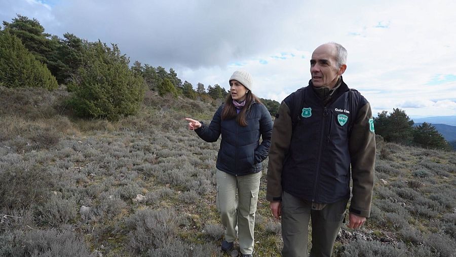 Gabriel Lampreave, agente forestal, en 'Escarabajo Verde'