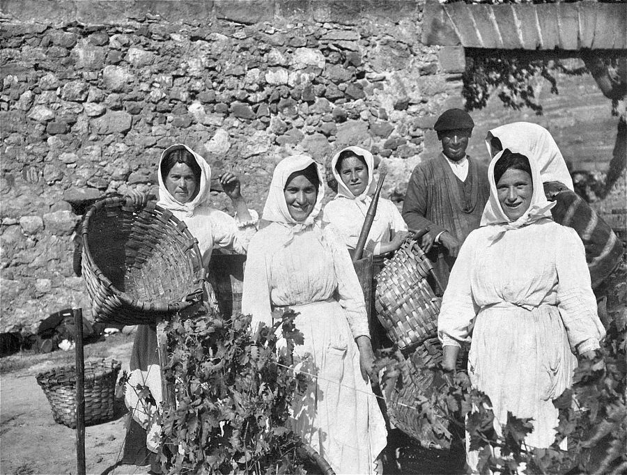 'Vendimiadoras' antes de empezar la jornada