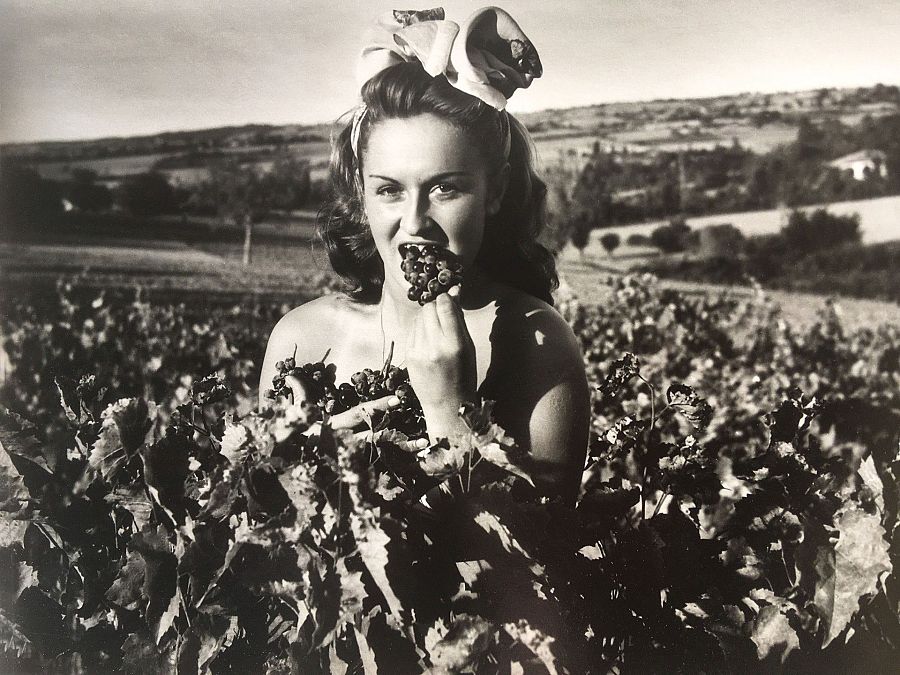 Sugerente imagen de una mujer en un viñedo