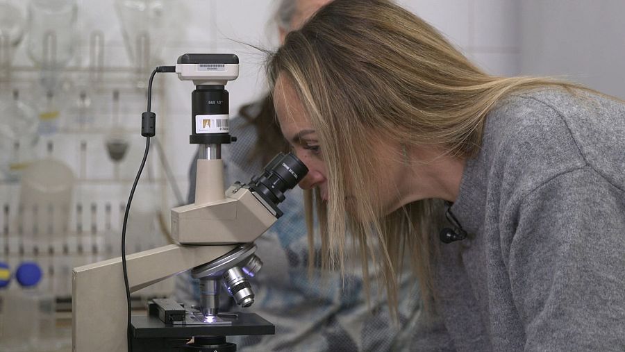 Raquel Caparrós mirando partículas de polen