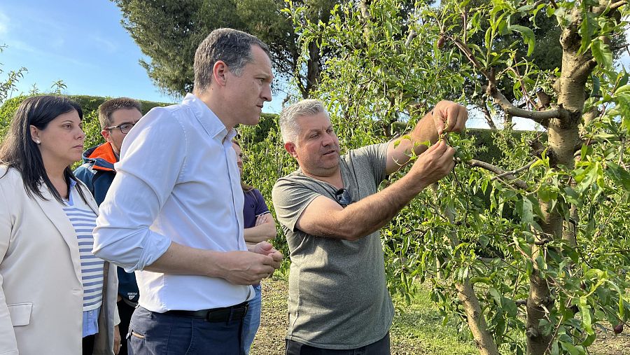Visita del conseller Òscar Ordeig a una finca agrícola; conversa con agricultores en un día soleado, mostrando un árbol.