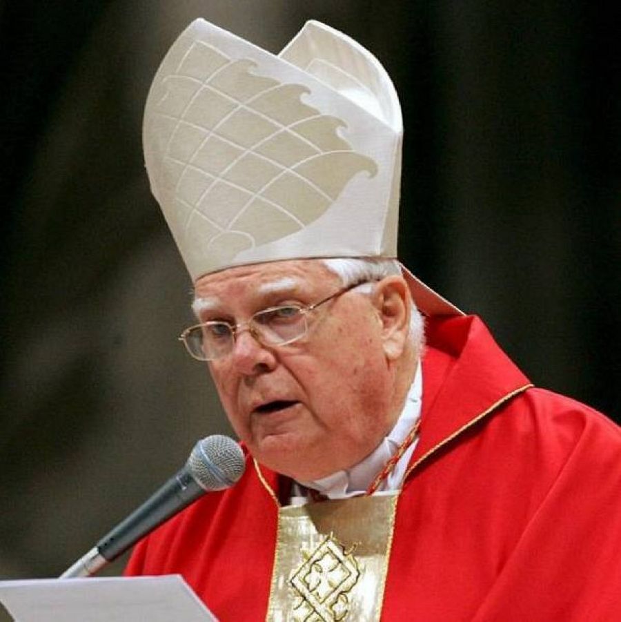 Imagen de la vesitmenta de un cardenal llevando la mitra blanca adamascada.