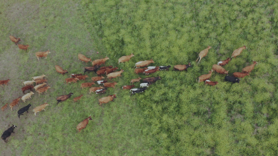 Hope! Estamos a tiempo, capítulo 4