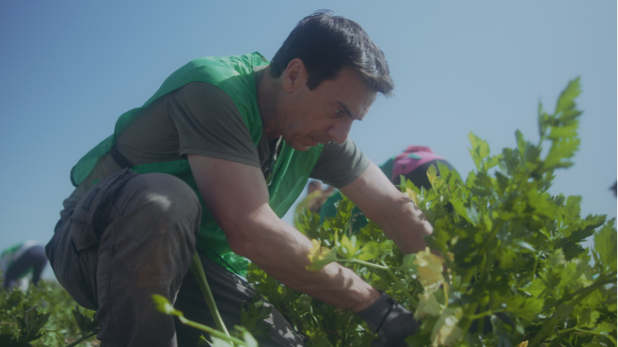 El cambio climático, antes invisible al ojo humano, es ahora una realidad científica