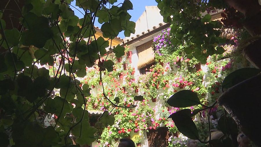 Los Patios de Córdoba abren sus puertas al público hasta el 18 de mayo con 52 recintos a concurso