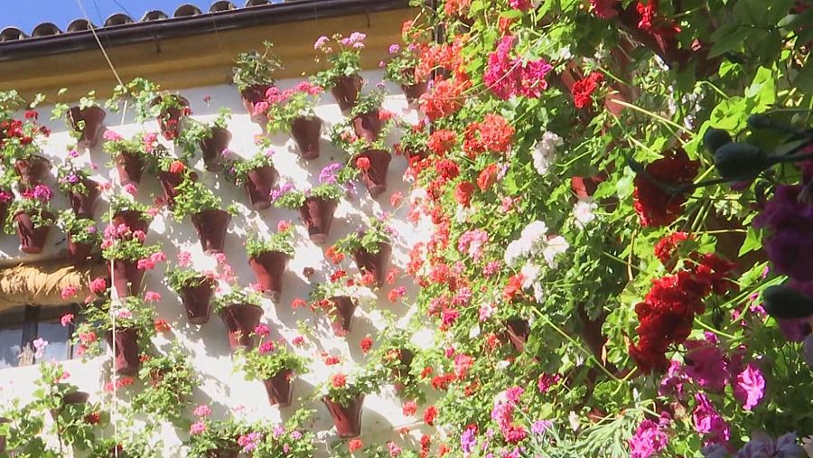Los Patios de Córdoba abren sus puertas al público hasta el 18 de mayo con 52 recintos a concurso