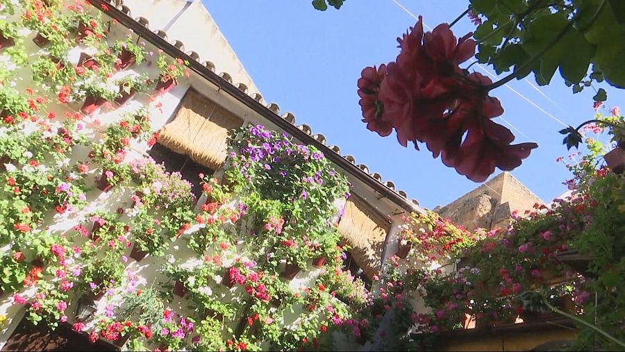 Los Patios de Córdoba abren sus puertas al público hasta el 18 de mayo con 52 recintos a concurso